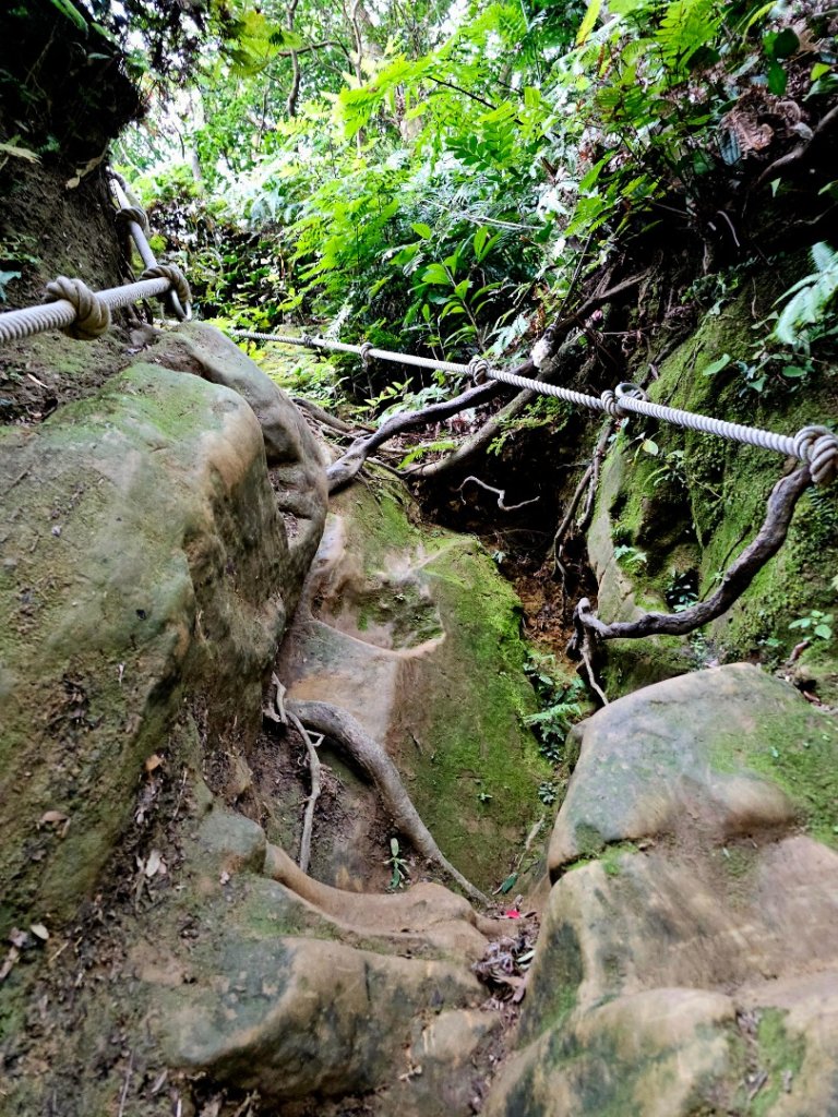 猴山岳-台北市木柵區_2663538