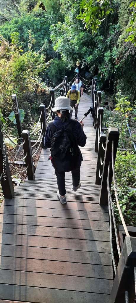 《台中》登山市集｜大坑9及9_1號步道上觀音亭20251220_2966566