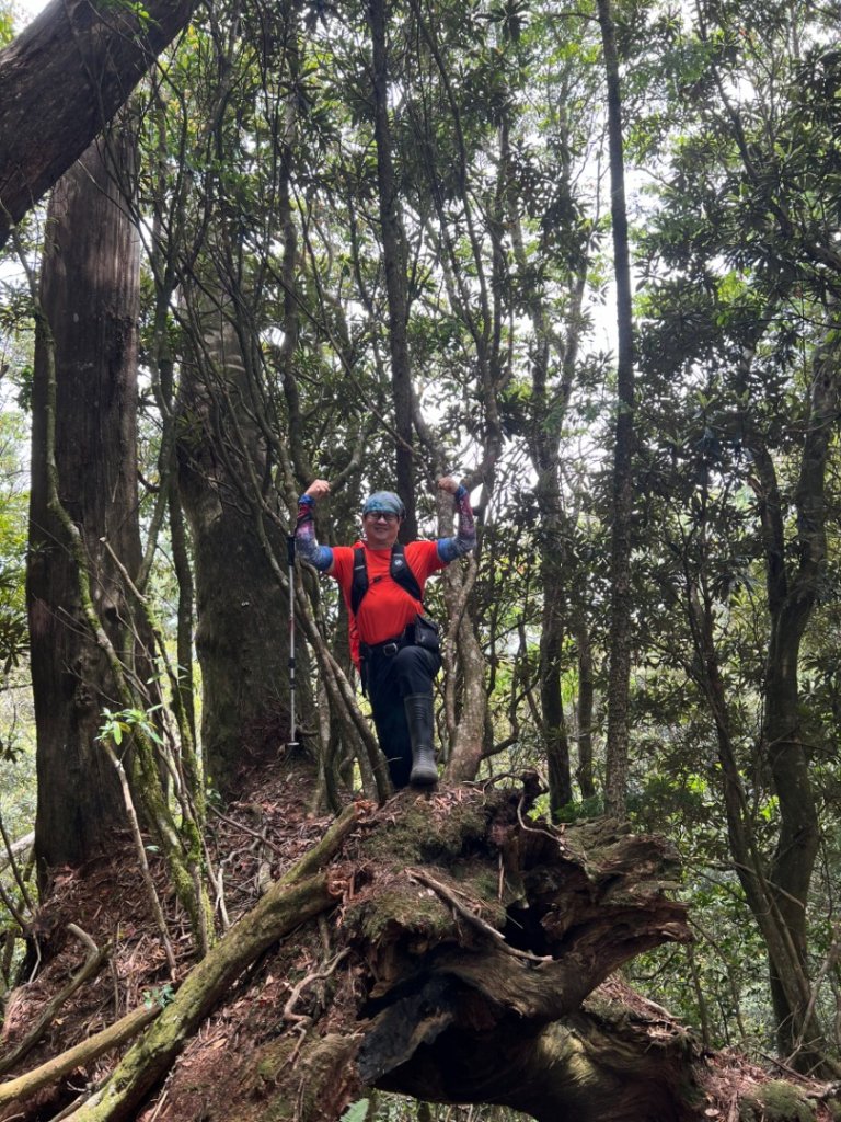 1130511夫拉縱走_2500120