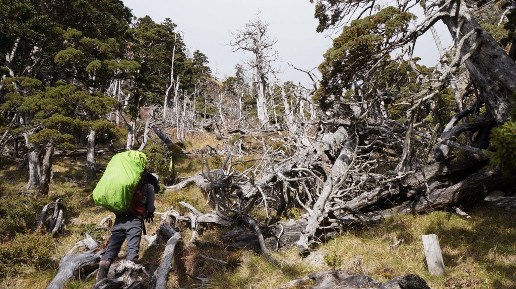 志佳陽雪山之毅_465769