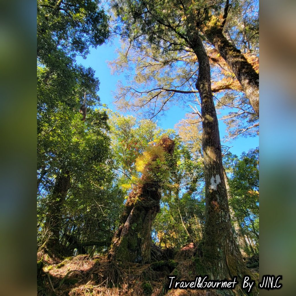 【羅馬沒有假期之重裝縱走】羅馬羅縱走_2039285