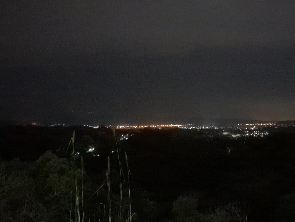 2025.03.03－嘉義後山夜間漫遊_2728115