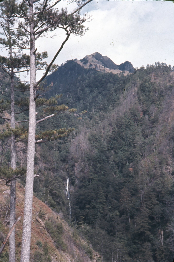1970.11月 聖稜線Y型縱走_25483