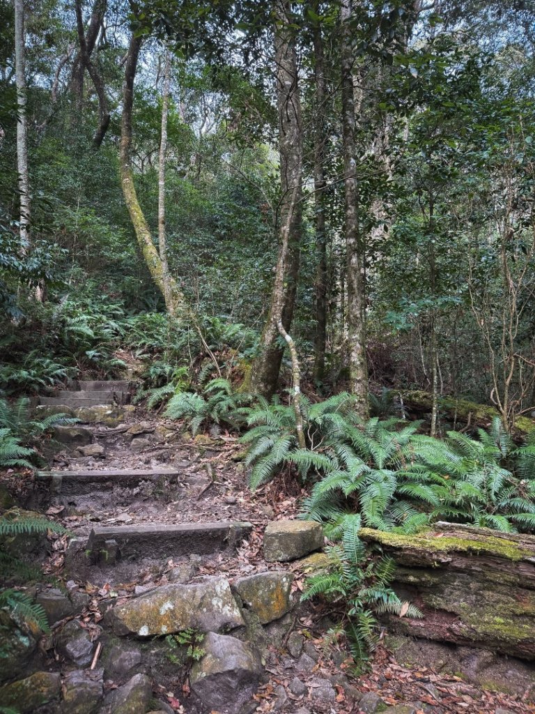 鳶嘴山上的瘦稜_2983862