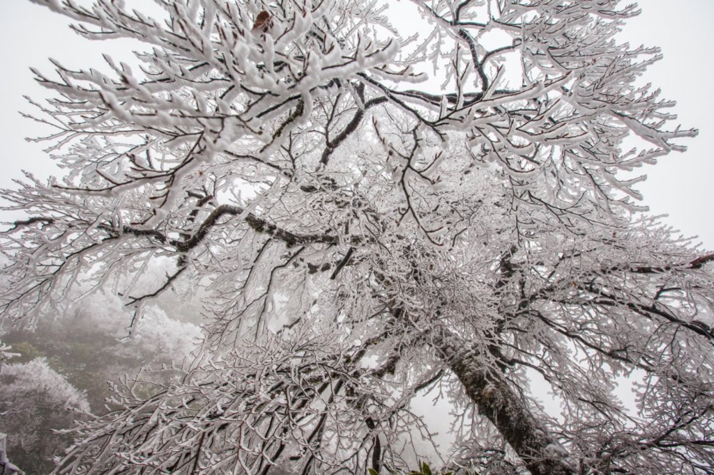 冰凍北插天山_1232395