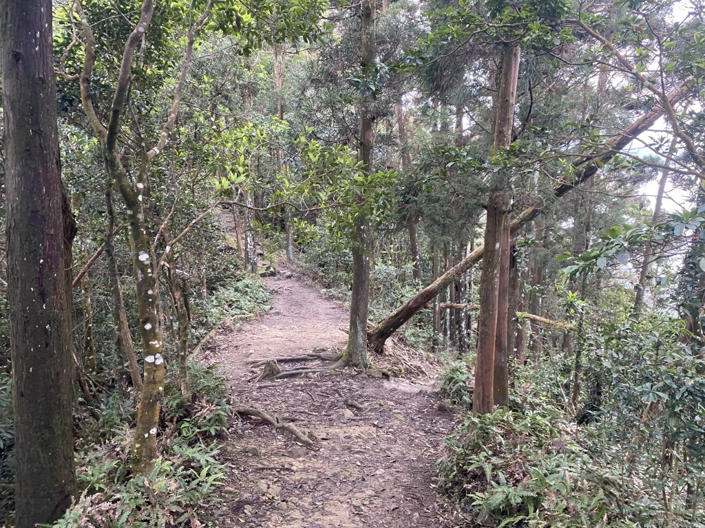 坐公車接駁的神仙縱走_2707360