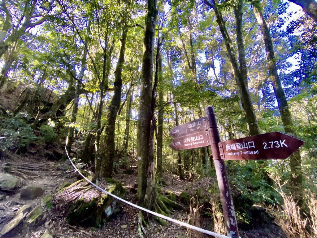 加里山縱走虎山    2021/12/4_1539136