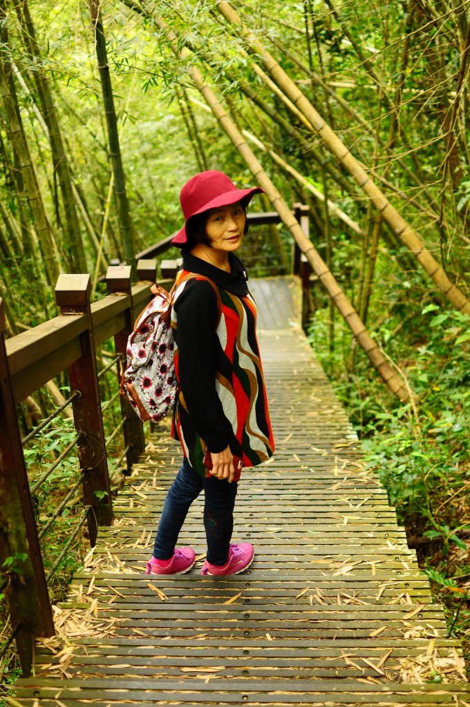 青年嶺步道_819211