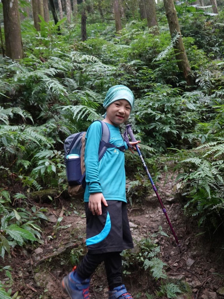 阿興阿賢三角湖山向天湖山光天高山_752263