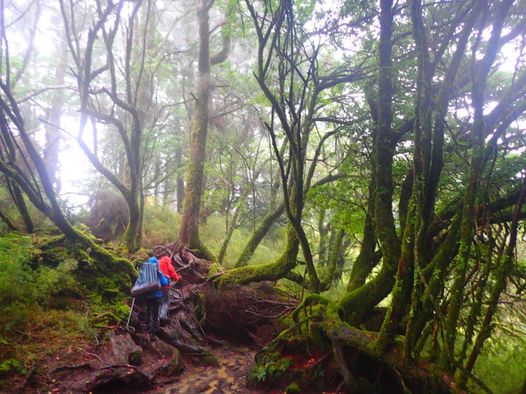 北一段 南湖前四峰_377678