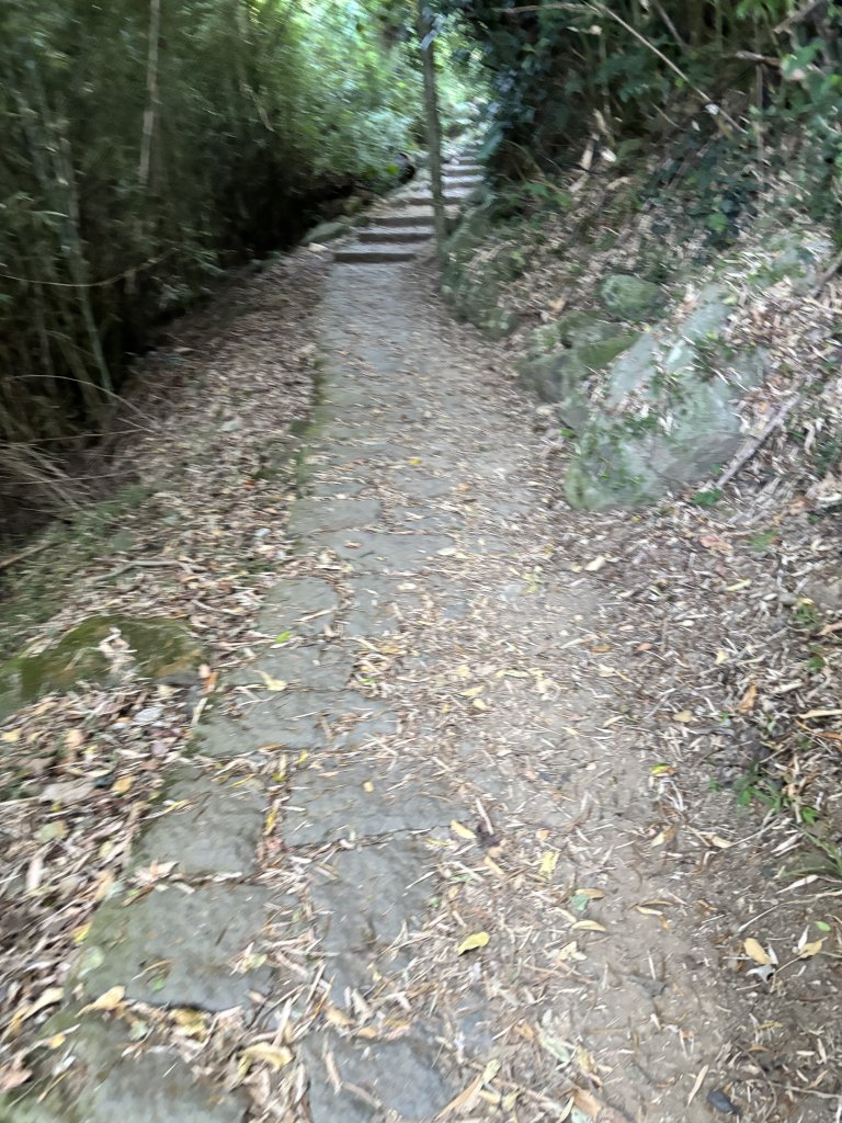 面天山、向天山、向天池_2921019