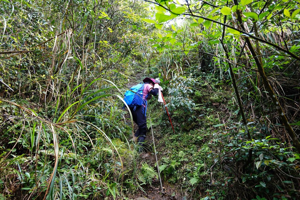 親子健行-獅蛇縱走_871789