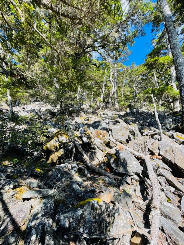 南橫公路溪頭山_1963649