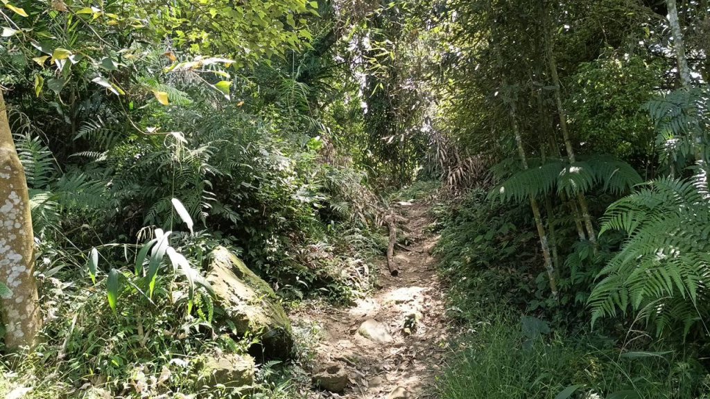 20251004 馬那邦山 - 珠湖 登山口_2904927