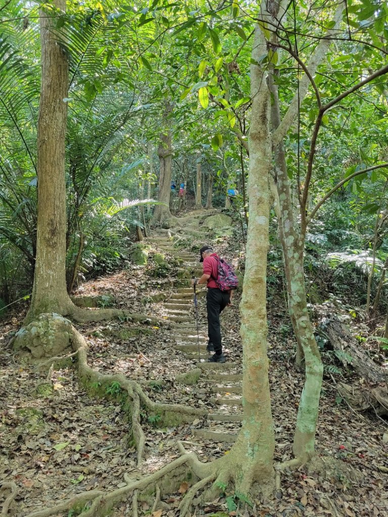 112.03.23 桃園大溪-打鐵寮古道_2082955
