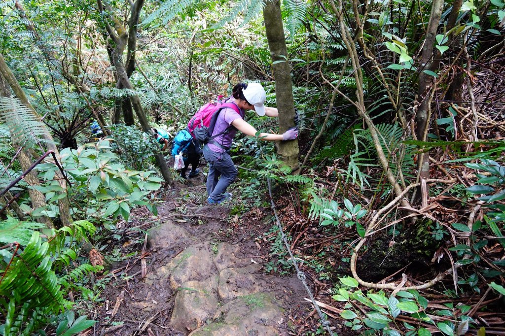 親子健行-獅蛇縱走_871762