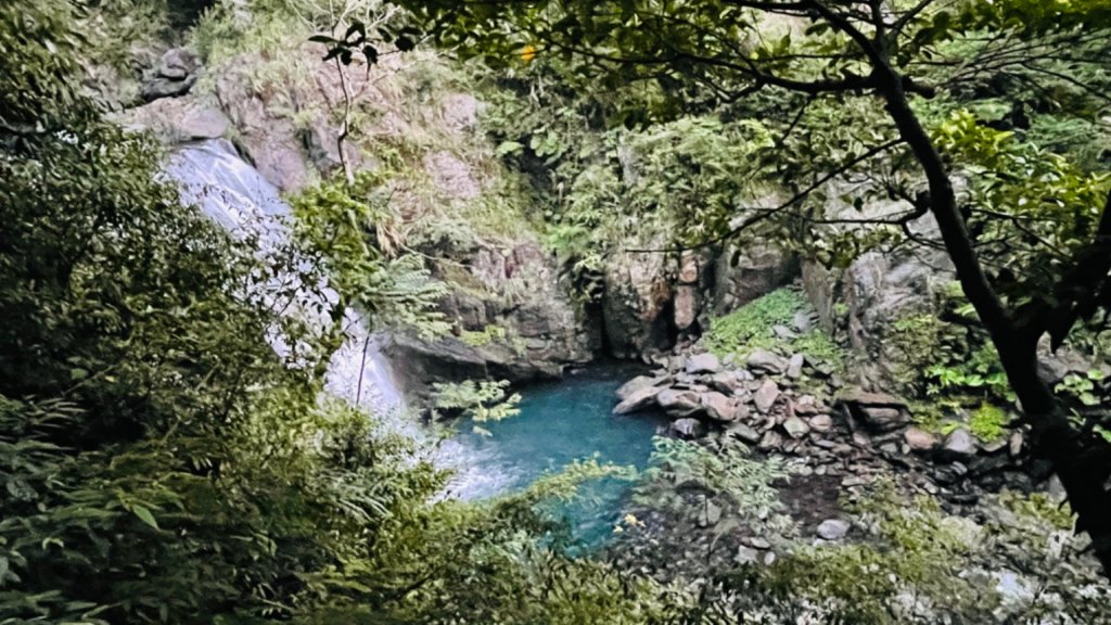 1101009內洞森林遊樂區_1484839