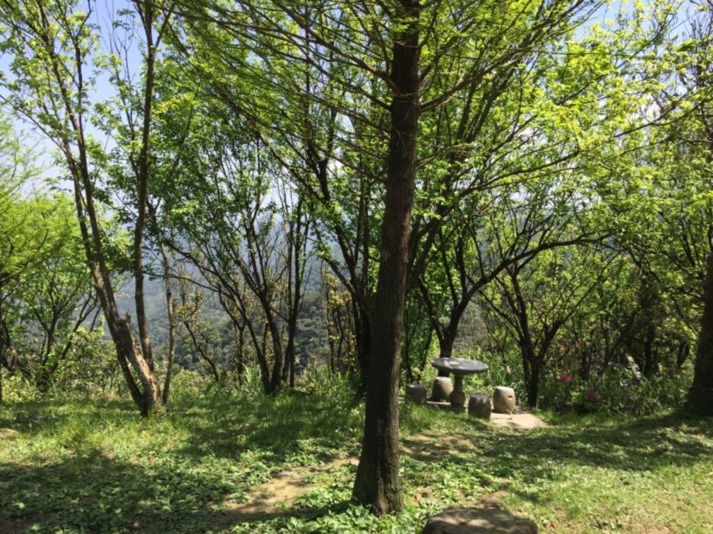 汐止大尖山（大針山）_294633