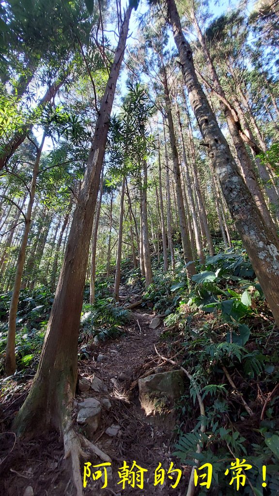 高島縱走_2686836