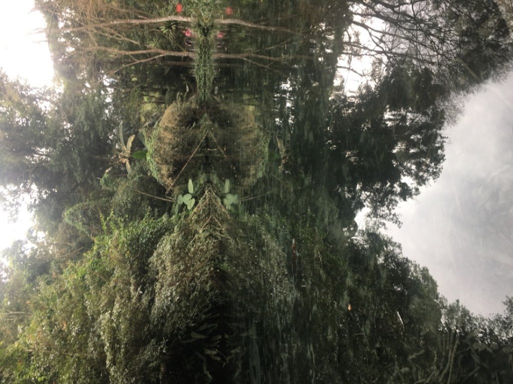 四十二份湧泉封面圖