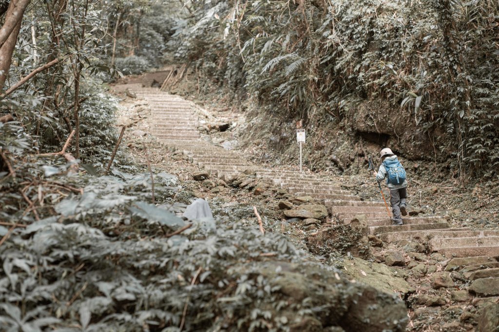 菅芒浪白｜五分山_2356496