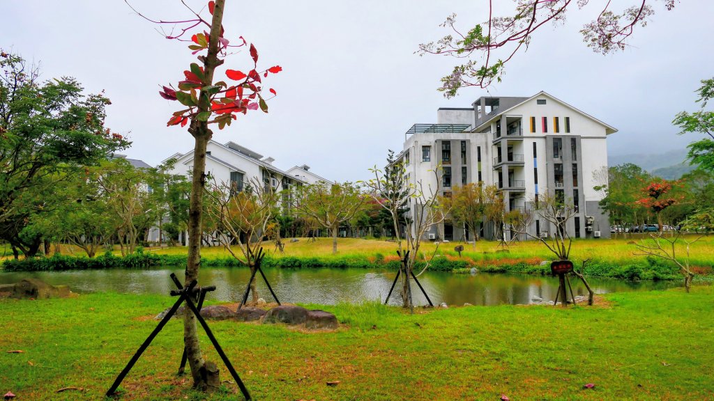 台東大學_3015155