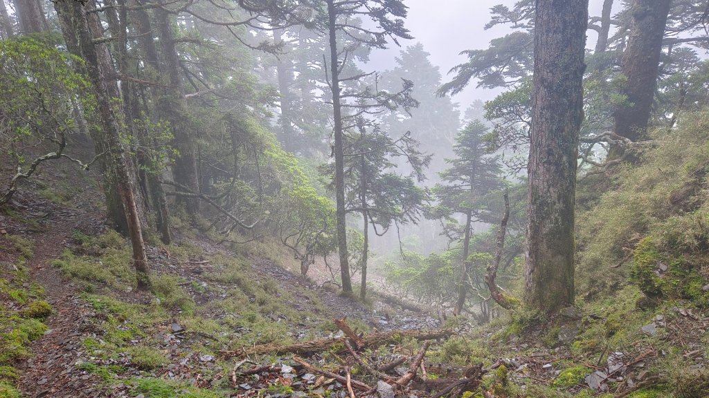 八大秀改成二天一夜八通關山夜宿中央金礦山屋（山永遠都在，我會回來的））_2202495