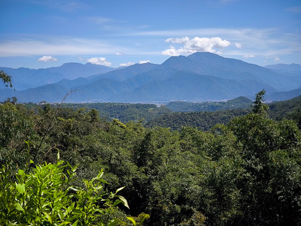 2024-08-22 澀水森林步道_2578462