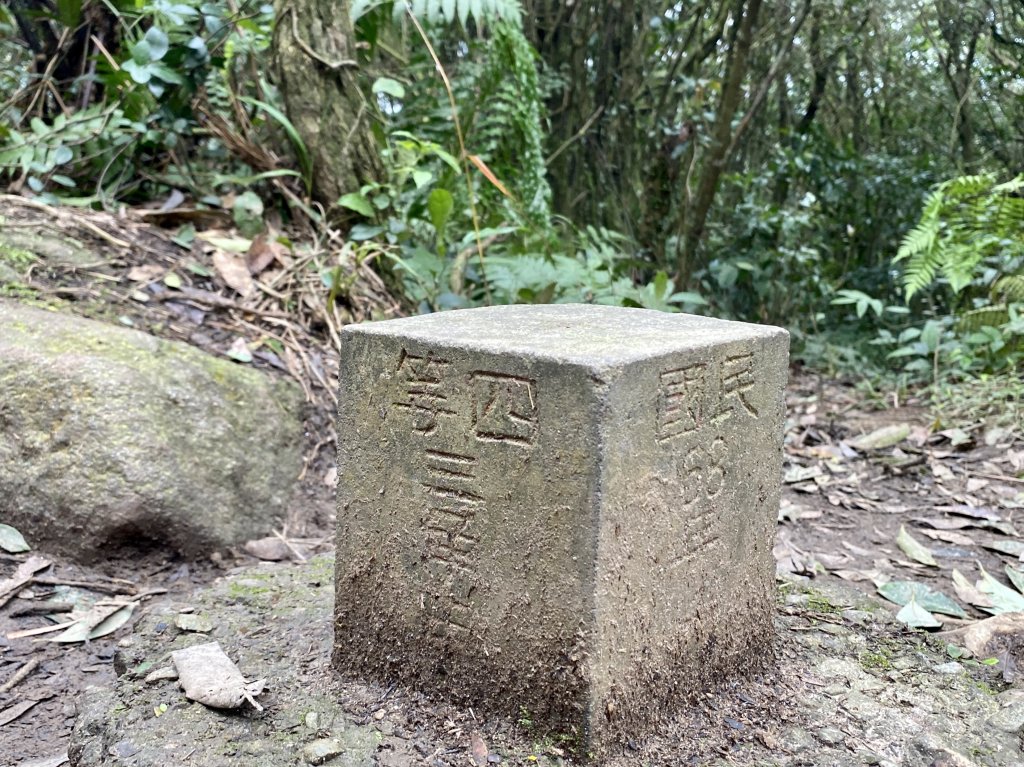 2021.12.31 臺北大縱走第四段_1636209