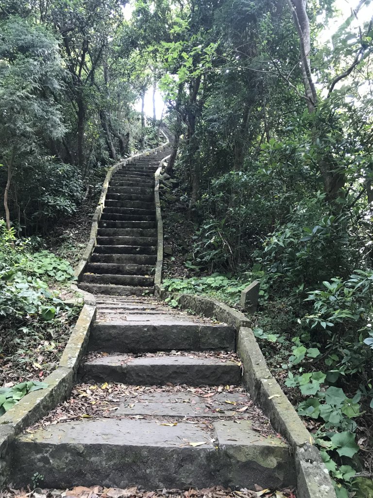 五股觀音山-硬漢嶺+北橫古道封面圖