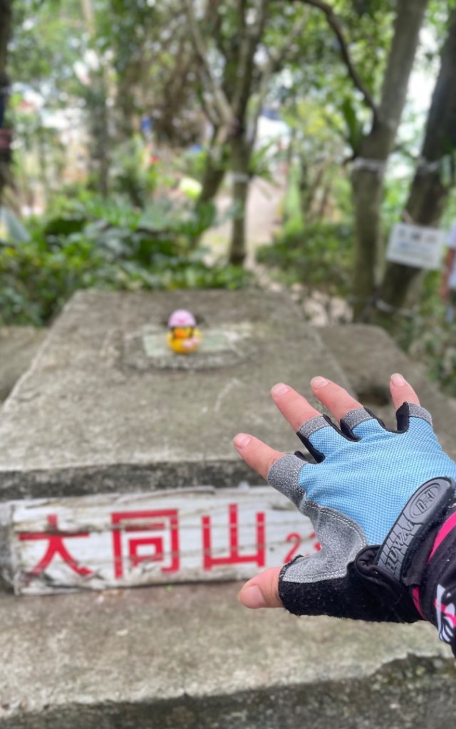 微笑山⛰️線-大棟-二格山-五分山-天上山-鳶山💎12條步道完成💙_2834109