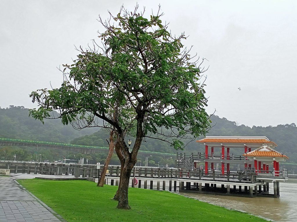 大湖公園 (防災公園)【走路趣尋寶，全臺齊步走】封面圖