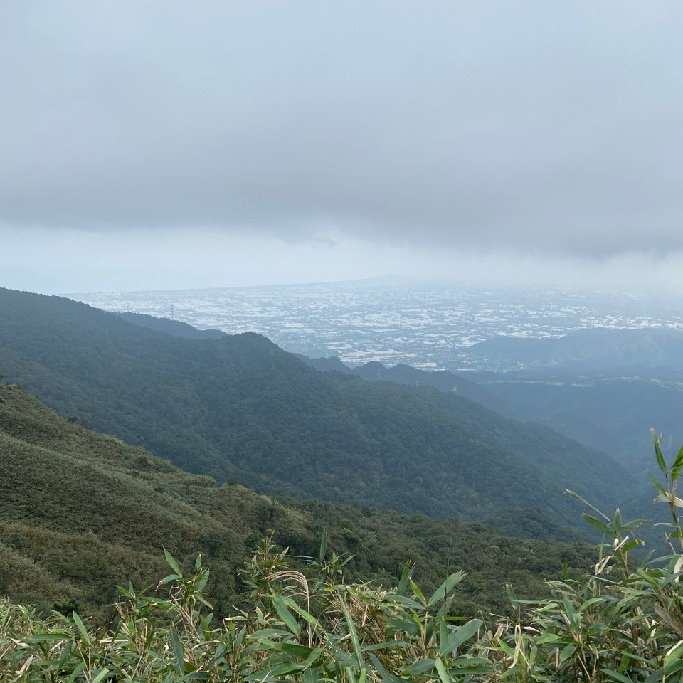 步道巡訪員 l 109年12月聖母登山步道尋訪_1206956