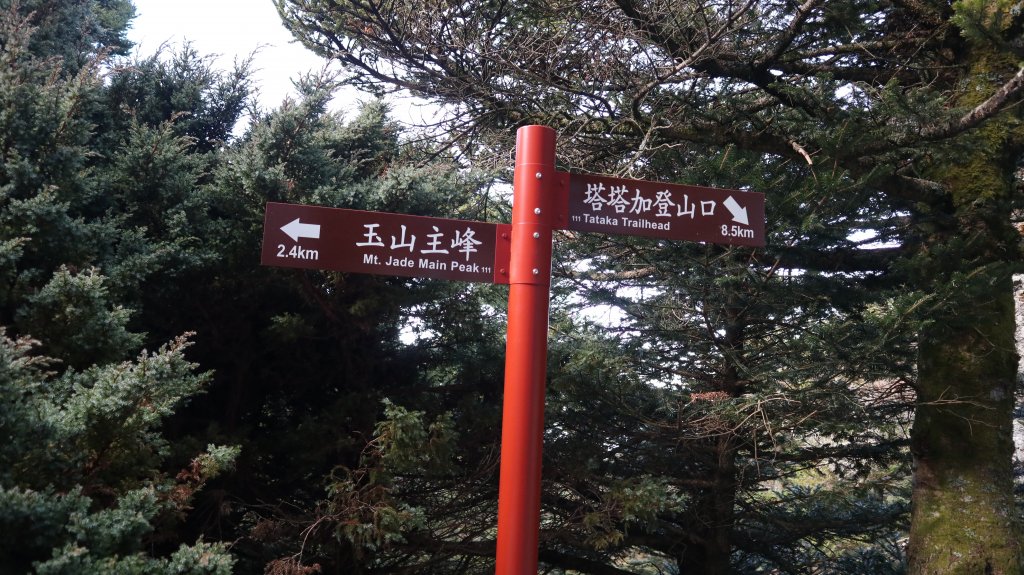 玉山主峰登山健行趣(百岳01號)_2041442