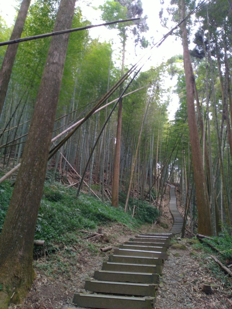 2023-03-04 奮起湖奮起步道_2057726