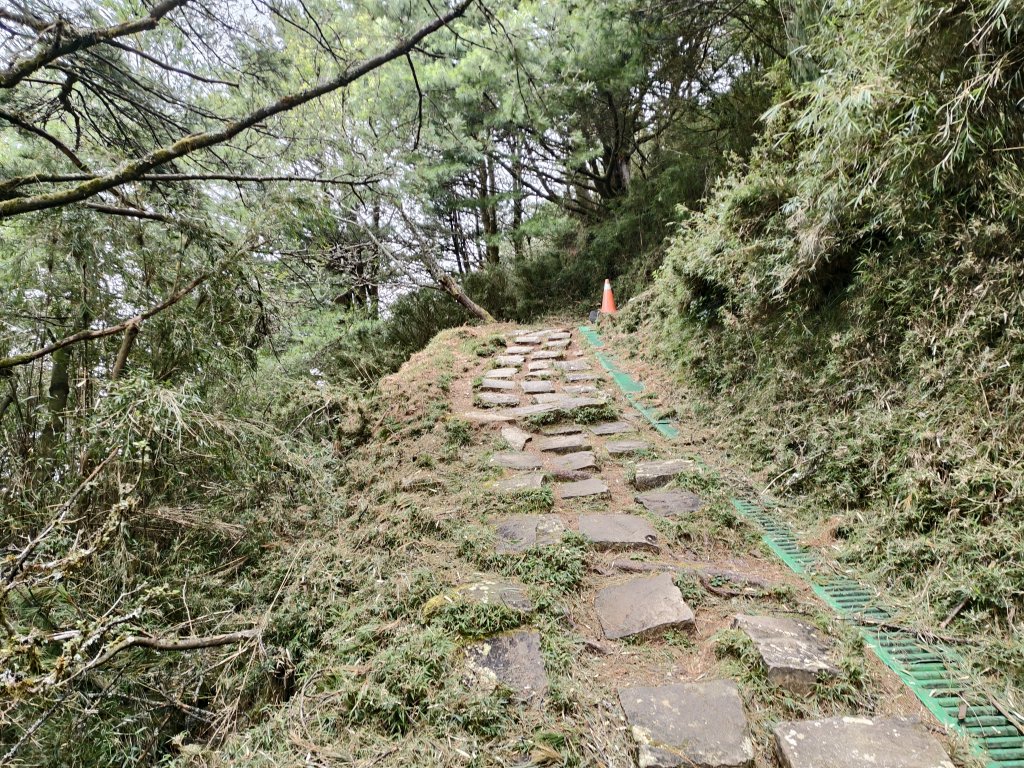 [玉山尋寶任務-08/12] 2025_0824 鹿林山步道_鹿林前山_2870934