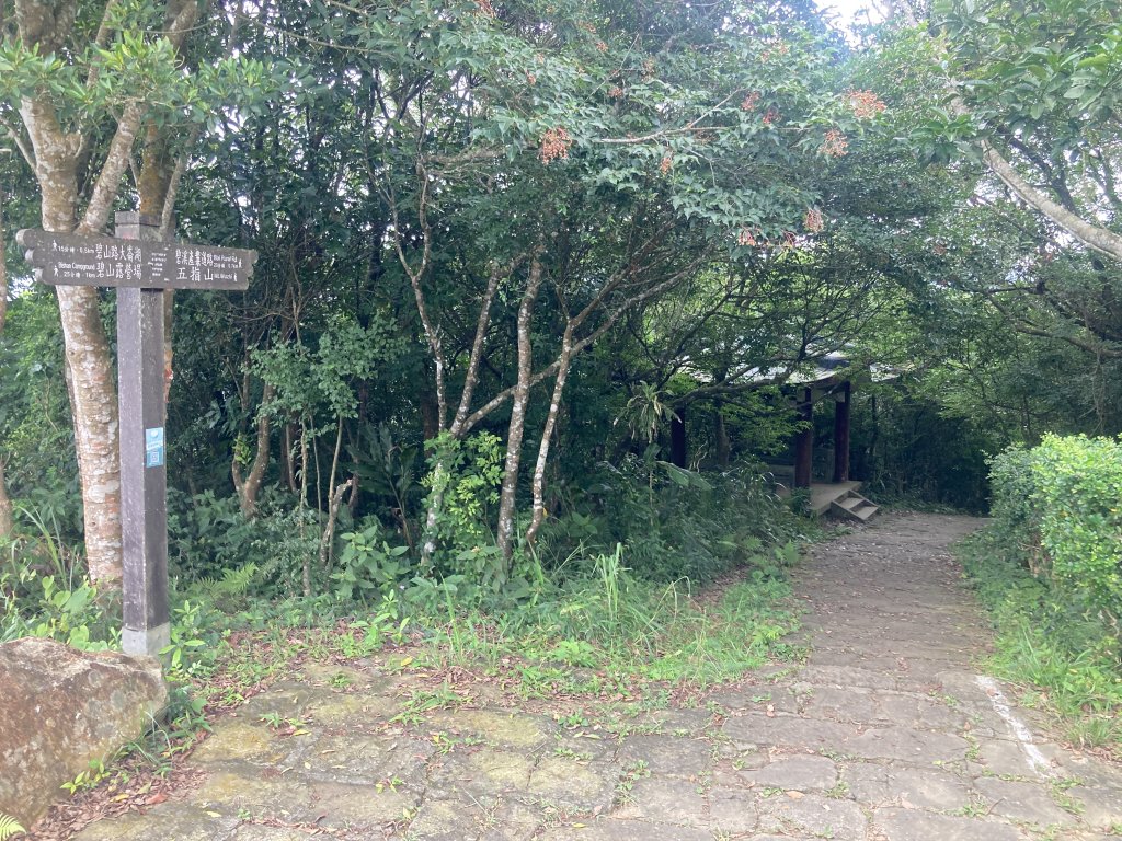 大崙頭山_2532677
