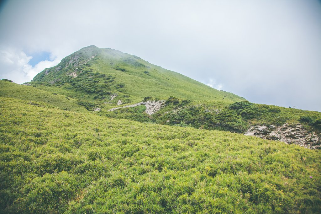 20200904~6-[南投] 奇萊主北_1633143