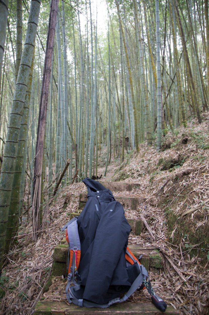步道巡訪員│四大天王山步道一月巡訪日誌_817805