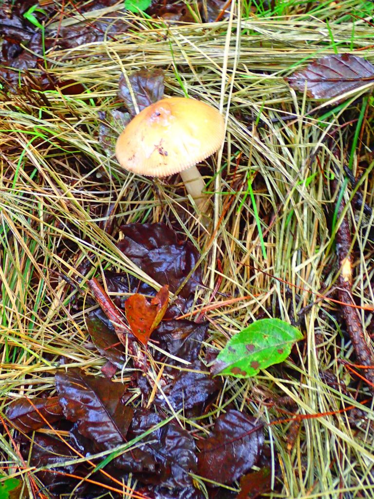 2017南湖群峰_227296