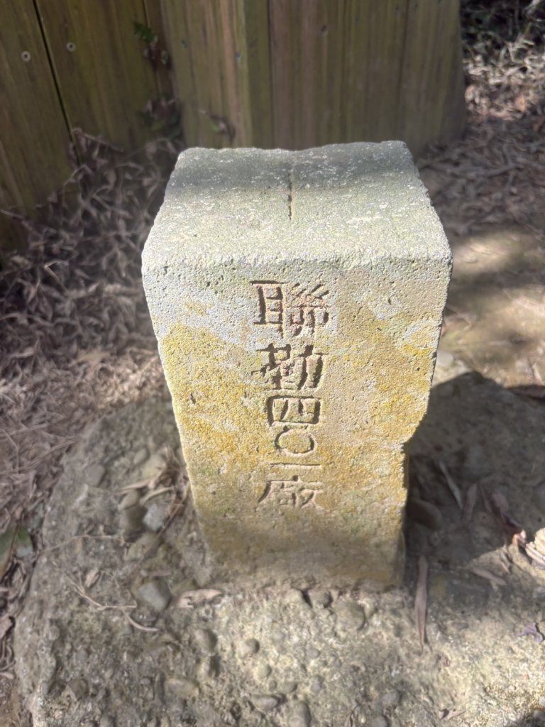 20251122獨立山國家步道+觀音石山+阿拔泉山_2944393