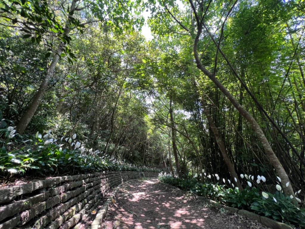 二訪硬漢嶺封面圖