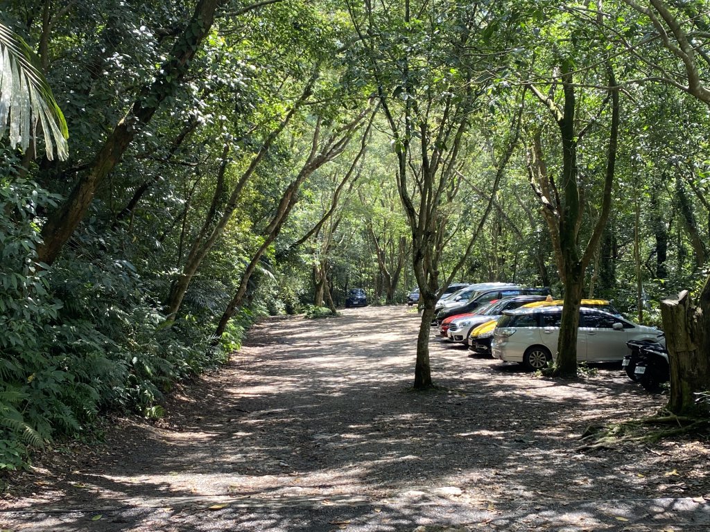 《探訪熊空秘境｜新北三峽雲森瀑布沁涼體驗》_2878460