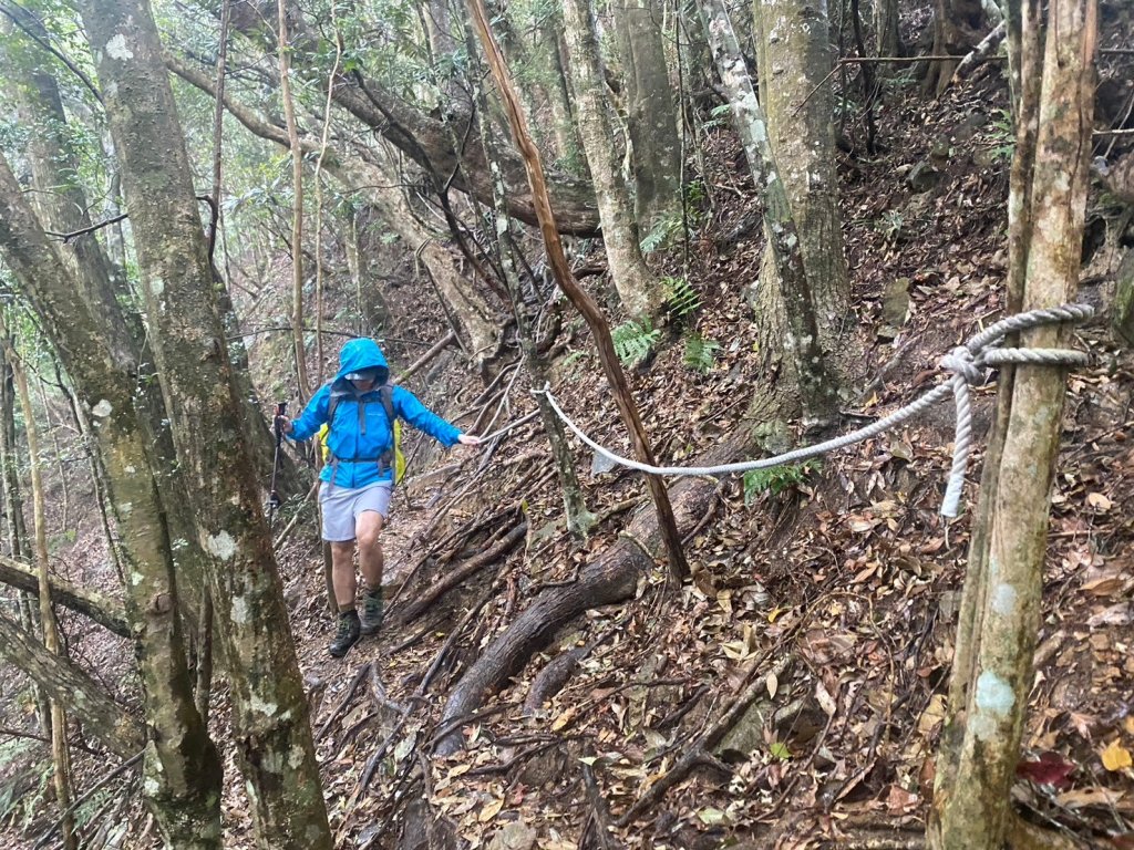 阿冷山【好酒沉甕底的隱藏版魔王】_2649268