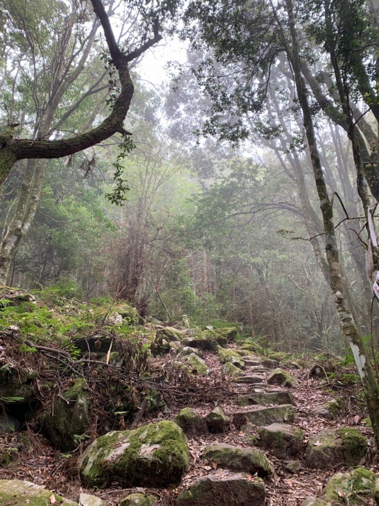 2019.10.19馬崙山_706385