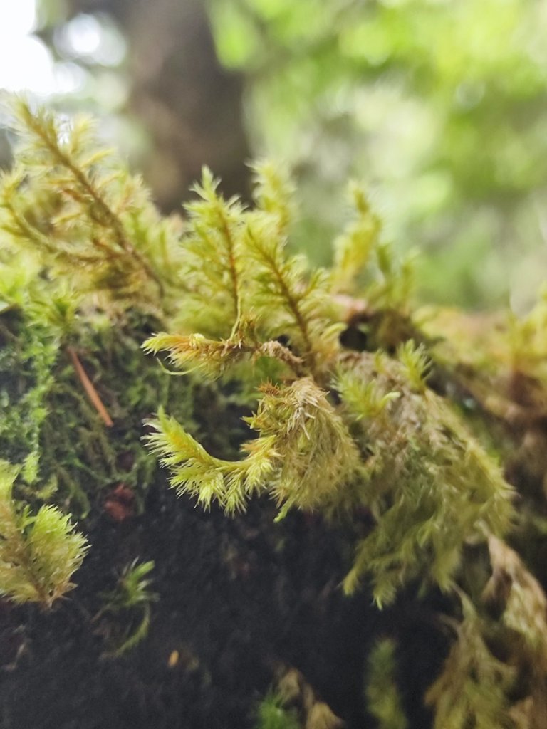 樂雪縱走_2876762