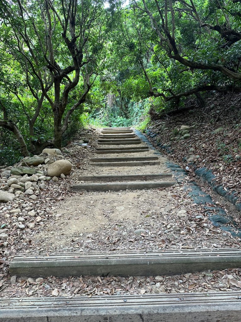 九九峰森林步道_1865858