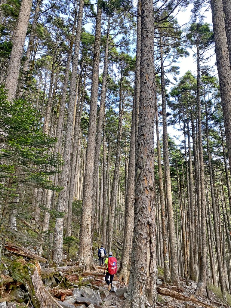 第五次上雪山（陪兒子單攻）2020630_1016146