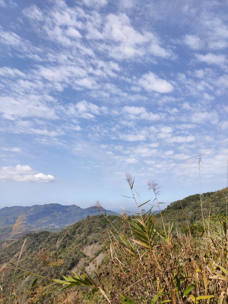 20200307白雲山_880033