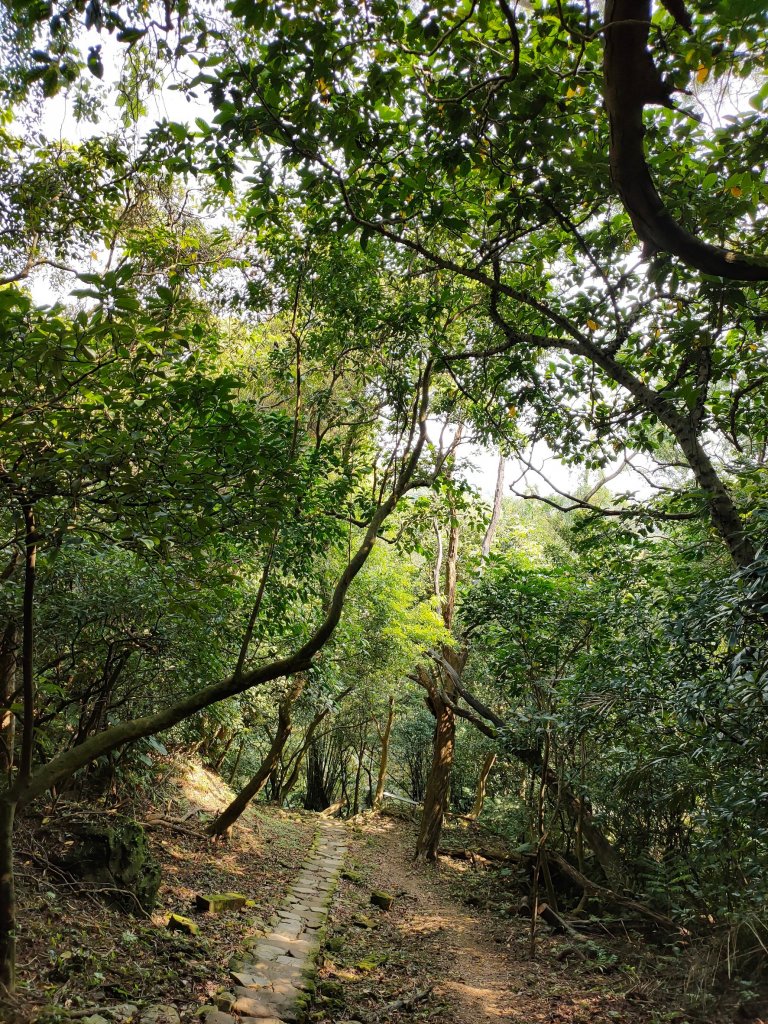 小百岳系列之天上山_1334761